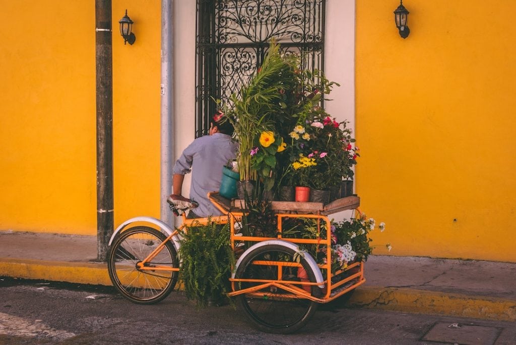 E-Lastenrad mit Blumen